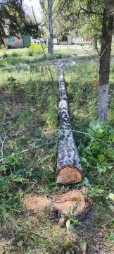 Оперативная сводка по благоустройству Амвросиевского округа за 02.09.2026