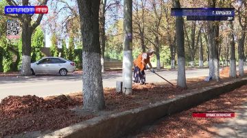 � ��������� ������������ ������ ������� ����� � �����: �������� � ������� ������� � ������� ������� ������