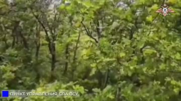 ��������� ���� 150 ��� ���������� ������ ���������� ���� ���