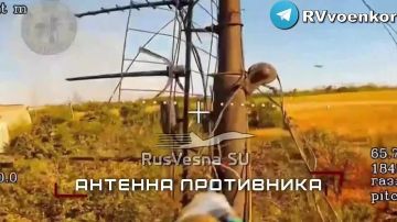 ����� ���: ����� ������� ���������� ������ � ������� ����� � ���� �� ��������������� � �� ����������������