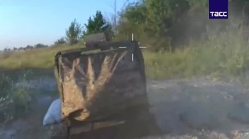 ����� ������������ ����������� ������ �������� � ���