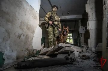 Росгвардейцы спасли жителей села при атаке БПЛА ВСУ на детский сад в ДНР