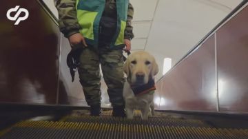 Росинка все старше и умнее