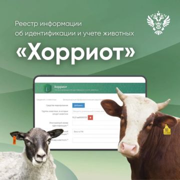 Уважаемые жители Мангушского муниципального округа!