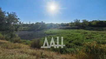 Очередной водоём обмелел в Макеевке