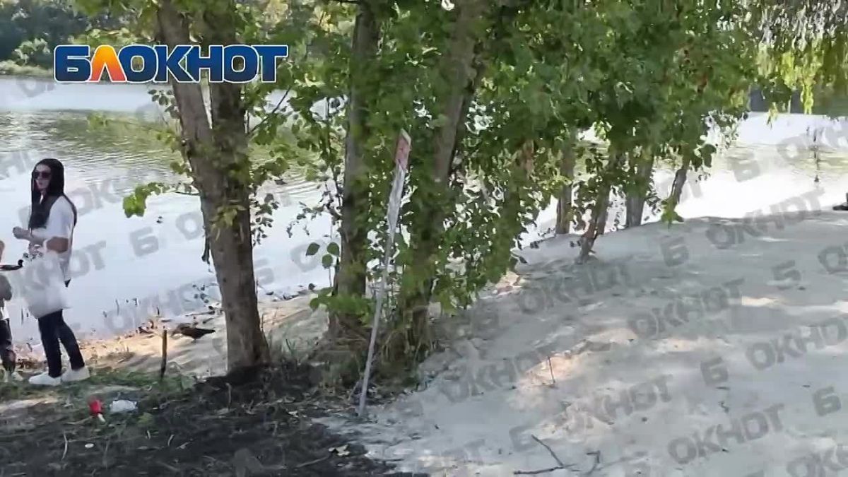 Дети кормят уточек на Набережной Кальмиуса
