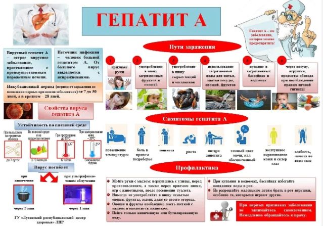 ГЕПАТИТ А: ПРОФИЛАКТИКА — ЛУЧШАЯ ЗАЩИТА!