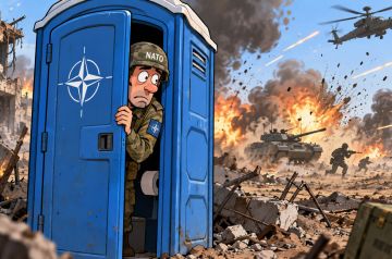 Туалеты для батальона НАТО: как контракт на 14,8 млн злотых показал, где альянс готовится воевать