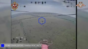�������� ���������� ���� ���