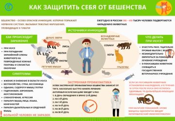 БЕШЕНСТВО: 100% ЛЕТАЛЬНОСТЬ