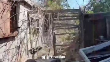 ���������� ��� �� �������: ��������� FPV-������ ���������� ��� ������ ���������� ���� � ��������� � �������� � ���