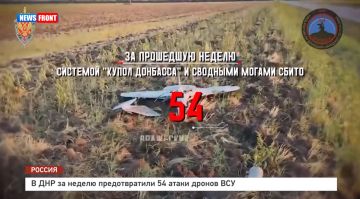 В ДНР за неделю предотвратили 54 атаки дронов ВСУ
