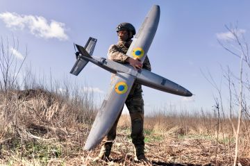 Марьяна Наумова: HORNET: ВМЕСТО МАРСИАНСКИХ ПЕСКОВ — ПЫЛЬ ДОНЕЦКИХ ШЛЯХОВ