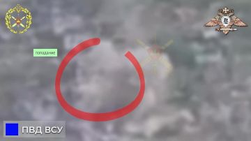 238 �� ��� ���������� ��� ��� � ��������� �����