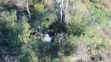 ������ ��������: #���������. ��������� ������� ���������� ���� ��� � ������������ ������ ���