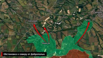Анализ комплекса косвенных признаков указывает на то, что ВС РФ начали активно развивать зону прорыва к северу и северо-востоку от Доброполья