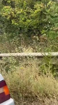 ������ ����� ������� ������ �� ���������