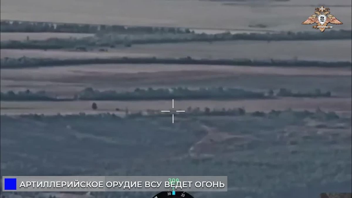 «Беркут» уничтожил орудие Д-20 ВСУ