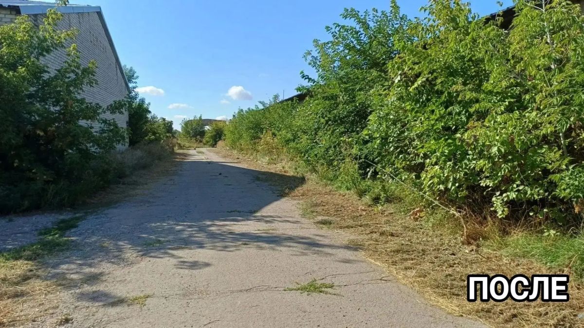В Марьяновке продолжаются работы по благоустройству и покосу сорной растительности