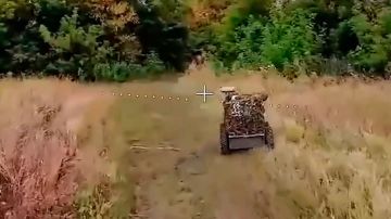 FPV-����� �������� ����� �� ������� ��� ��� ������������