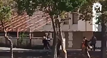 Коммунальщиков застали за покосом фантомного газона (а по факту опавших листьев) в Мариуполе