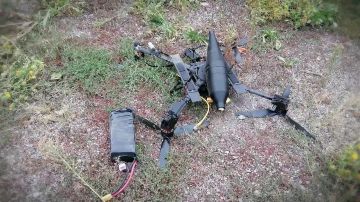 Украинский FPV-дрон, сбитый сводными МОГами вблизи пищевого предприятия в Горловке