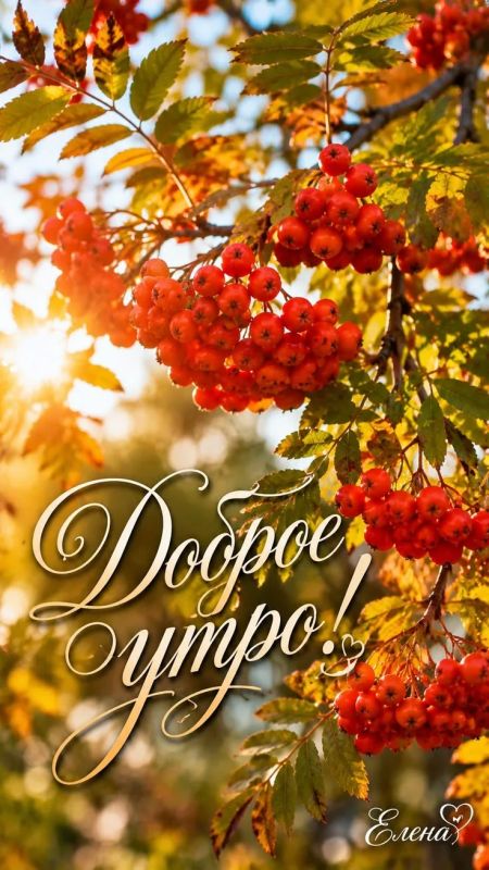 #доброе_утро