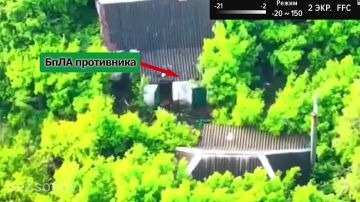 ������ ��������: #���������. ����� ��������� ������� ���������� ���� ��� � ����������� � ���������-��������� � ���
