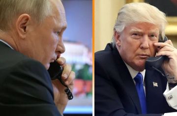 Владимир Путин поговорил по телефону с Дональдом Трампом