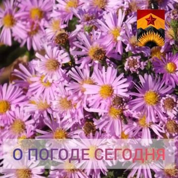 ��������� �����: ������������� ������� � ������ � ���������� ������