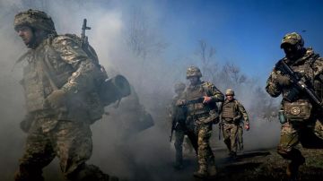 В ДНР из-за действий ВСУ уничтожена половина лесов нацпарка "Святые Горы"