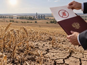 В ДНР отменен режим ЧС, введённый в прошлом году из-за засухи и гибели посевов