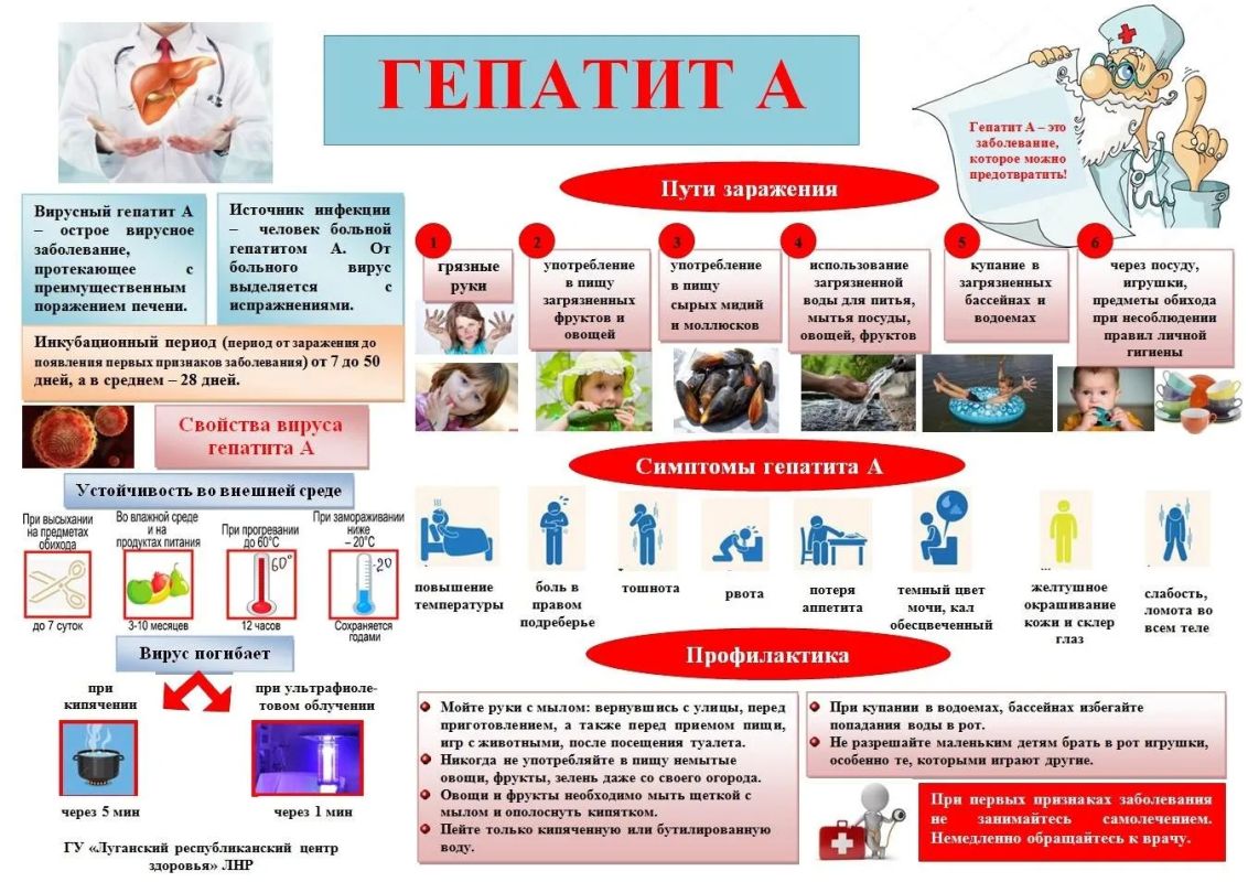 ФБУЗ «Центр гигиены и эпидемиологии в Донецкой Народной Республике» напоминает о важности профилактики вирусных гепатитов A, B и C
