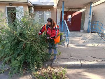 Наталья Бегуненко: В Петровском районе коммунальные предприятия приняли активное участие в акции Чистый четверг