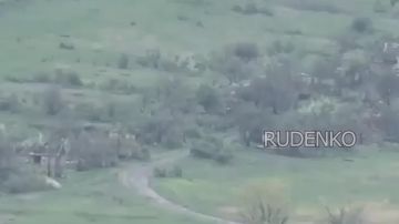 ������ �������: ������ ������� �-46 ������ ����������� ����� ��������� ������� ����� ����������� ��� � ���������