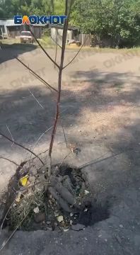 ������ �������� ��� ��������� �� ����� ����� �� ������� � ������ ������ �������� ����