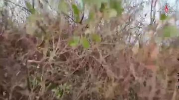 ���������� ������������ ����� ������������ ��������������� ����������� ����� ������ ����������� ������ ������ � ���