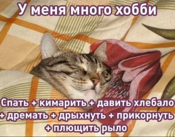 ��� ����� ����� ������� ��������� �� ����