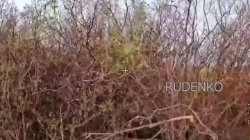 Андрей Руденко: Кадры боевой работы по освобождению Весёлого в Донецкой Народной Республике