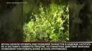 ������� ���� �������� ����������� ����� ������-��������� � ���������� � ������� ������������ �������� ���� �������� ������������� ������ ���������� ������, �������� ������� ������� ��������������� �������. �������� ������...