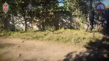 ����� �������: �������� ������ �������� � �������� ���������� �������� �������� �� ������ ������������� 100 ���������������� ���� �� ������� ����������