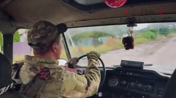 ��� ������: ��������� (��������). ����� ���������� ������ ������ ��� � ����� 2025 ����