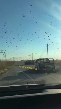 �������: ������ �� �����������