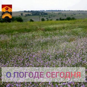 ��������� �����: ������������� ������� � ������ � ���������� ������