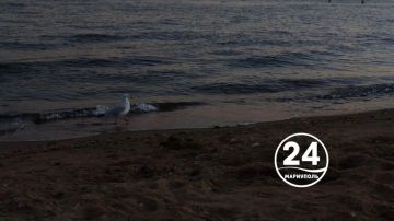 ��������� ����, ���������!