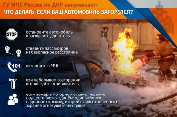 ������������ � ��������: ����� � ����������