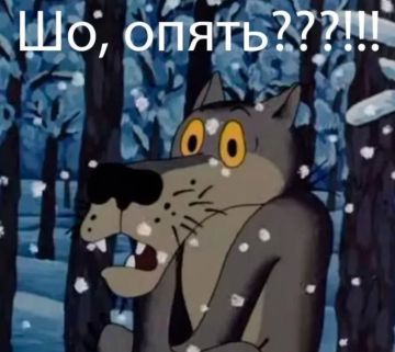 ШО? ОПЯТЬ?. Депутат Верховной рады Украины Василевская-Смаглюк: