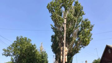 � ����������� ������������ ����������� �������������� �������� ��������� ��� ��������� �������� �������