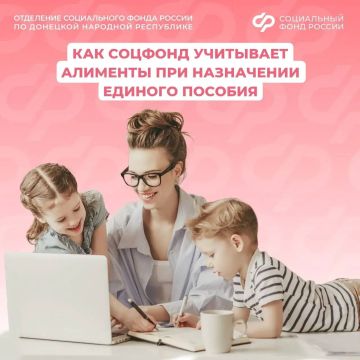 Как учитываются алименты при назначении единого пособия