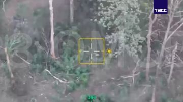 ����� ����� ����������� ���������� ����������, ������ � �������� ����� ��� � ���, �������� � ���������� ��